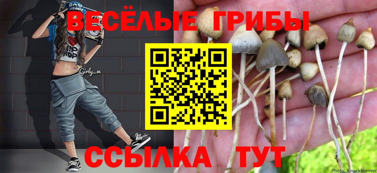 Галлюциногенные грибы Psilocybine cubensis Новокуйбышевск