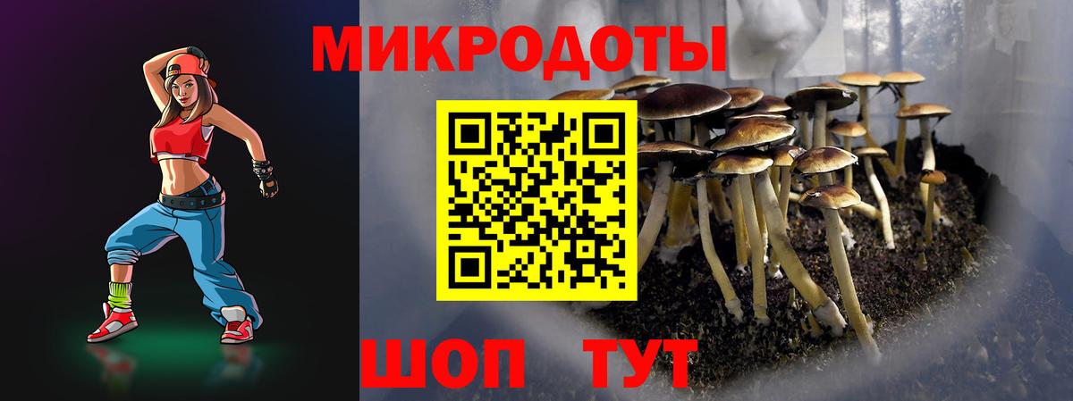 цена наркотик  Вход с VPN  Новокуйбышевск  Псилоцибиновые грибы MAGIC MUSHROOMS 